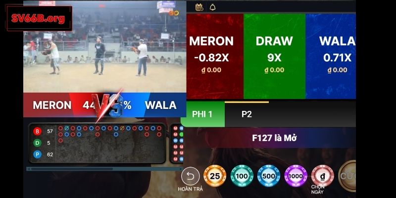 Quy trình tham gia đá gà SV66 chi tiết a - z